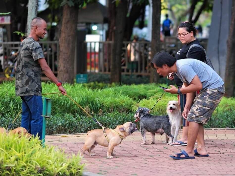 Jakarta Dog Lovers menerima siapa saja dan anjing jenis apa pun